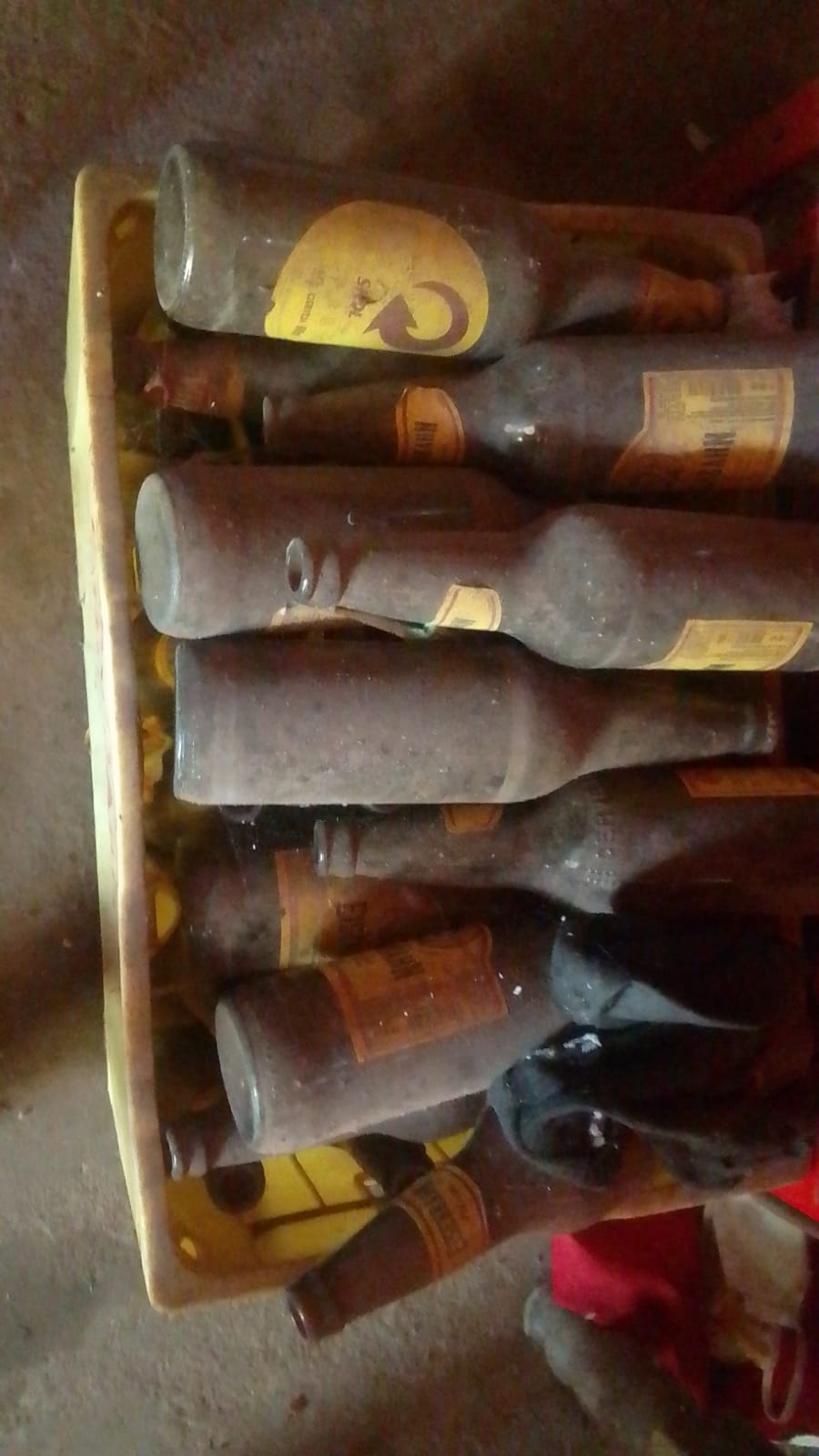 Reciclagem de vidro 2